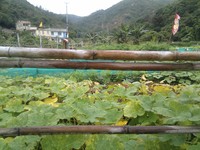 20100215Farm Visit05.jpg